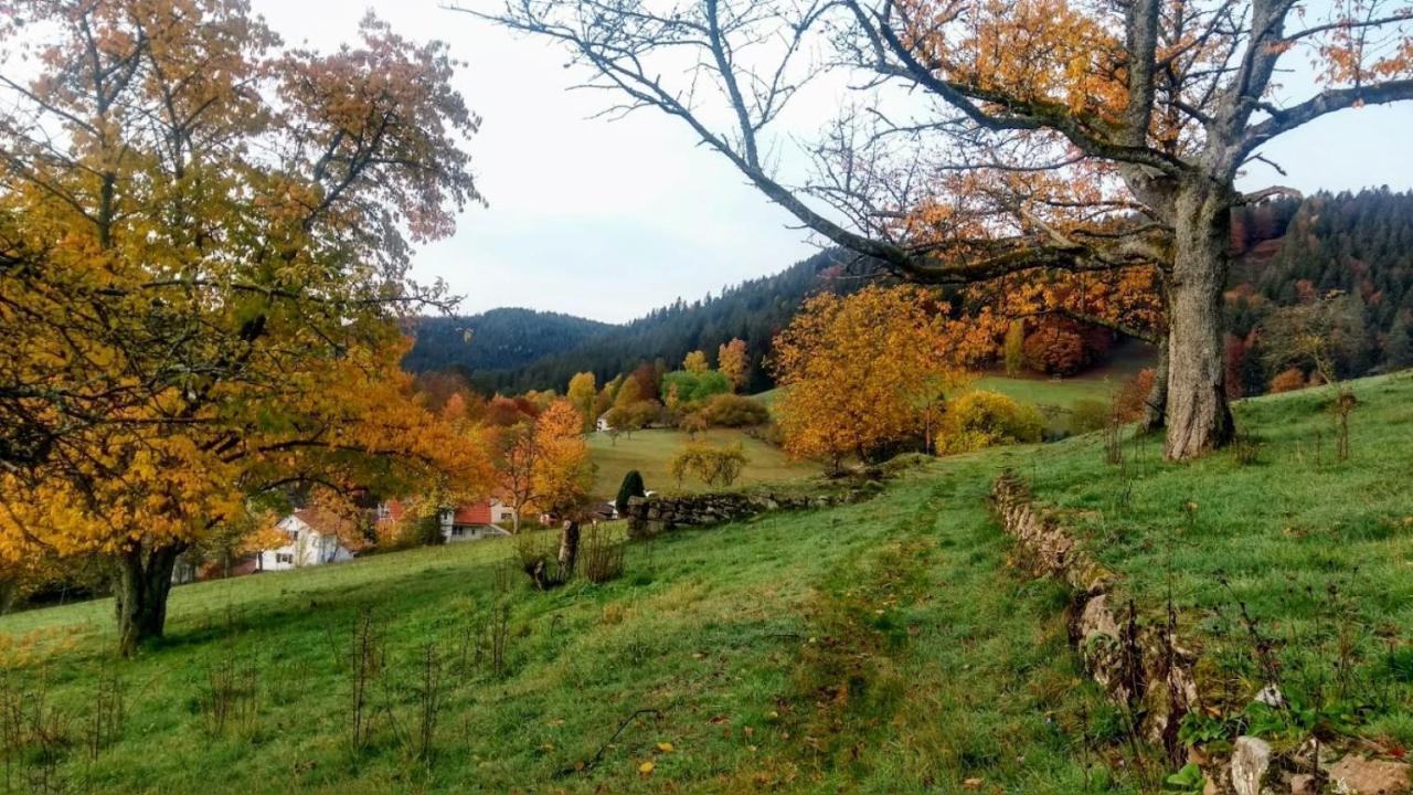 Ferienwohnung Mit Aussicht Enzklosterle Exterior photo